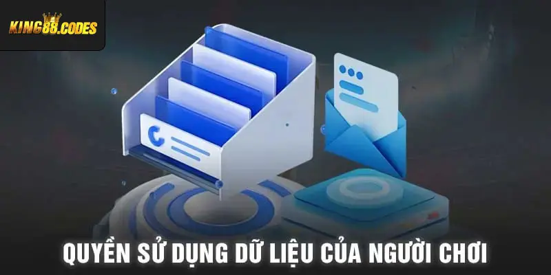 Quyền sử dụng dữ liệu của người chơi